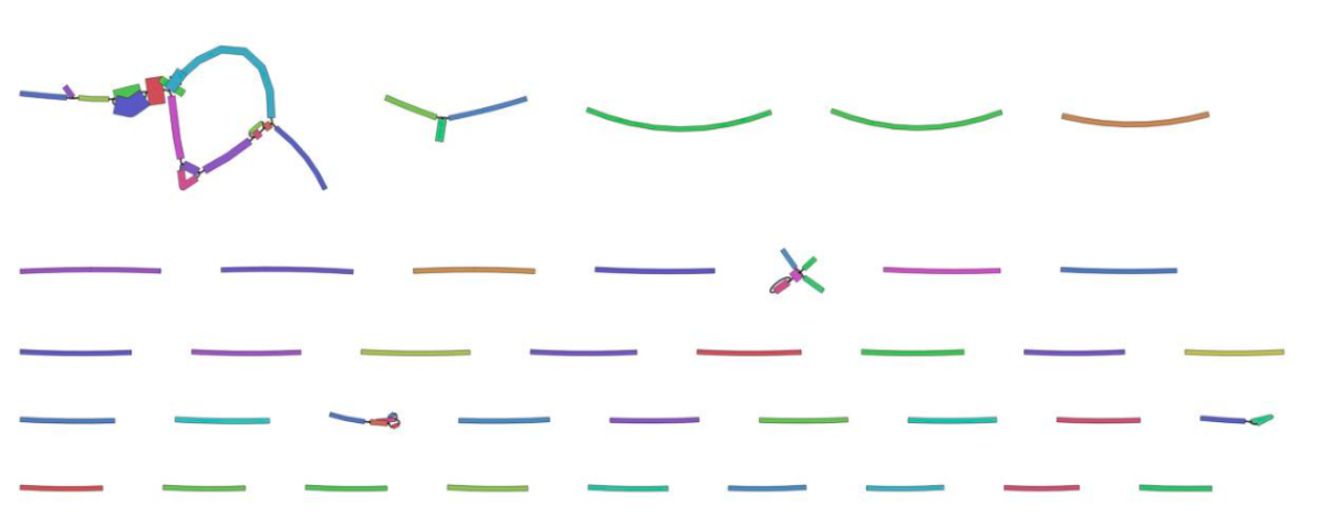 "Image of the bandage graph showing one multi-part set of joined contigs, some smaller one- or two- piece contigs, and many single contigs.". 