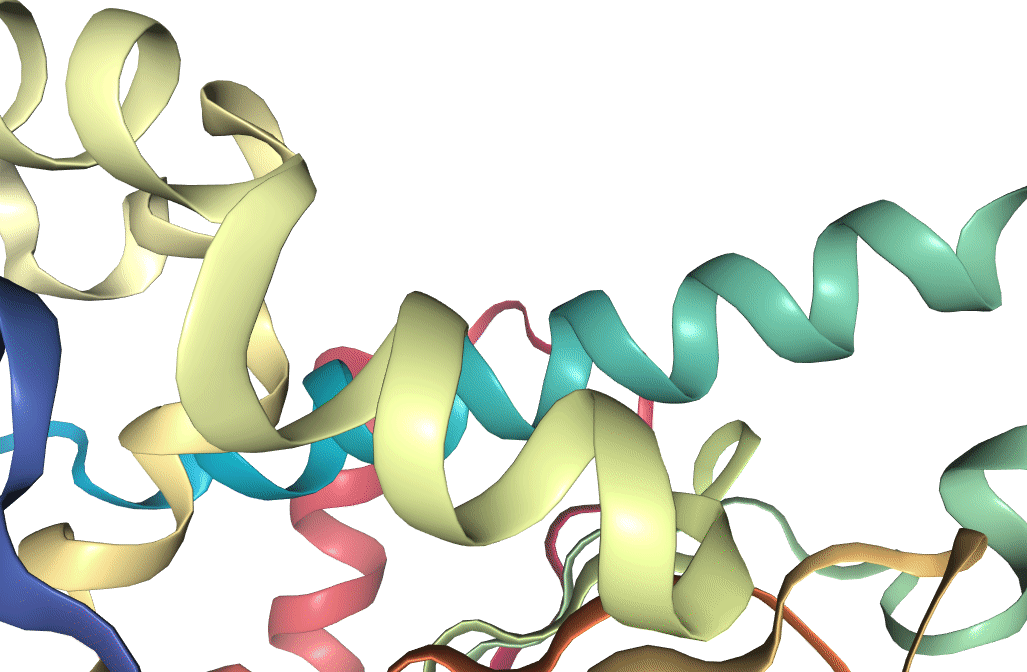 Two docking poses for a ligand bound to Hsp90. 
