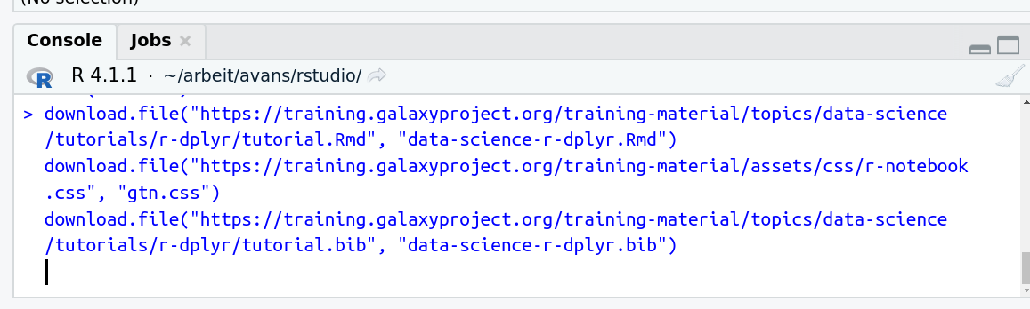 Screenshot of the Console in RStudio. There are three lines visible of not-yet-run R code with the download.file statements which were included in the setup tip box.