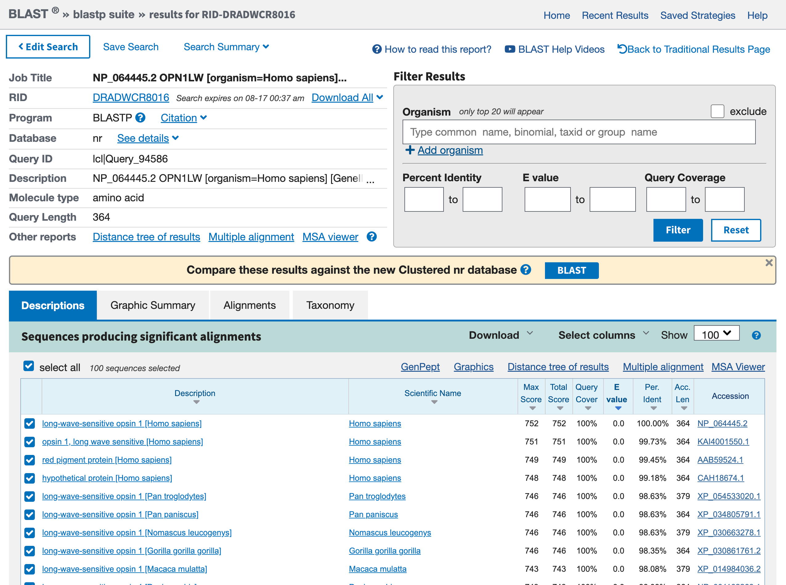 Screenshot of BLAST results, one big header on top and the results listed as a table on bottom. 