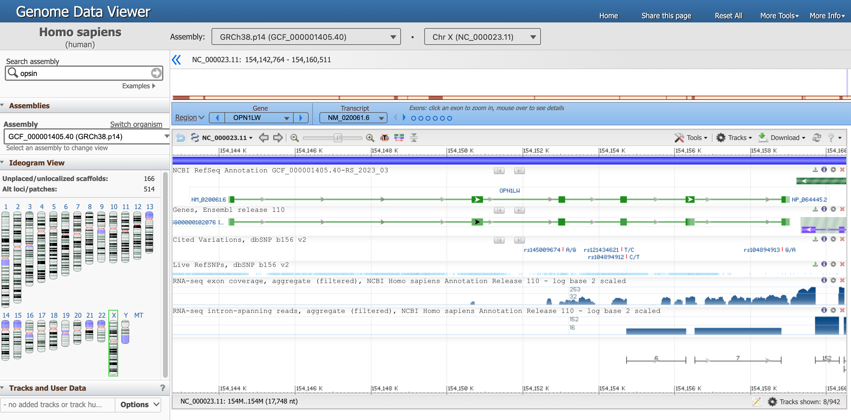 Genome Data Viewer of gene OPN1LW, screenshot of the two main panels of the viewer, with chromosomes on the left and the feature viewer on the right.
