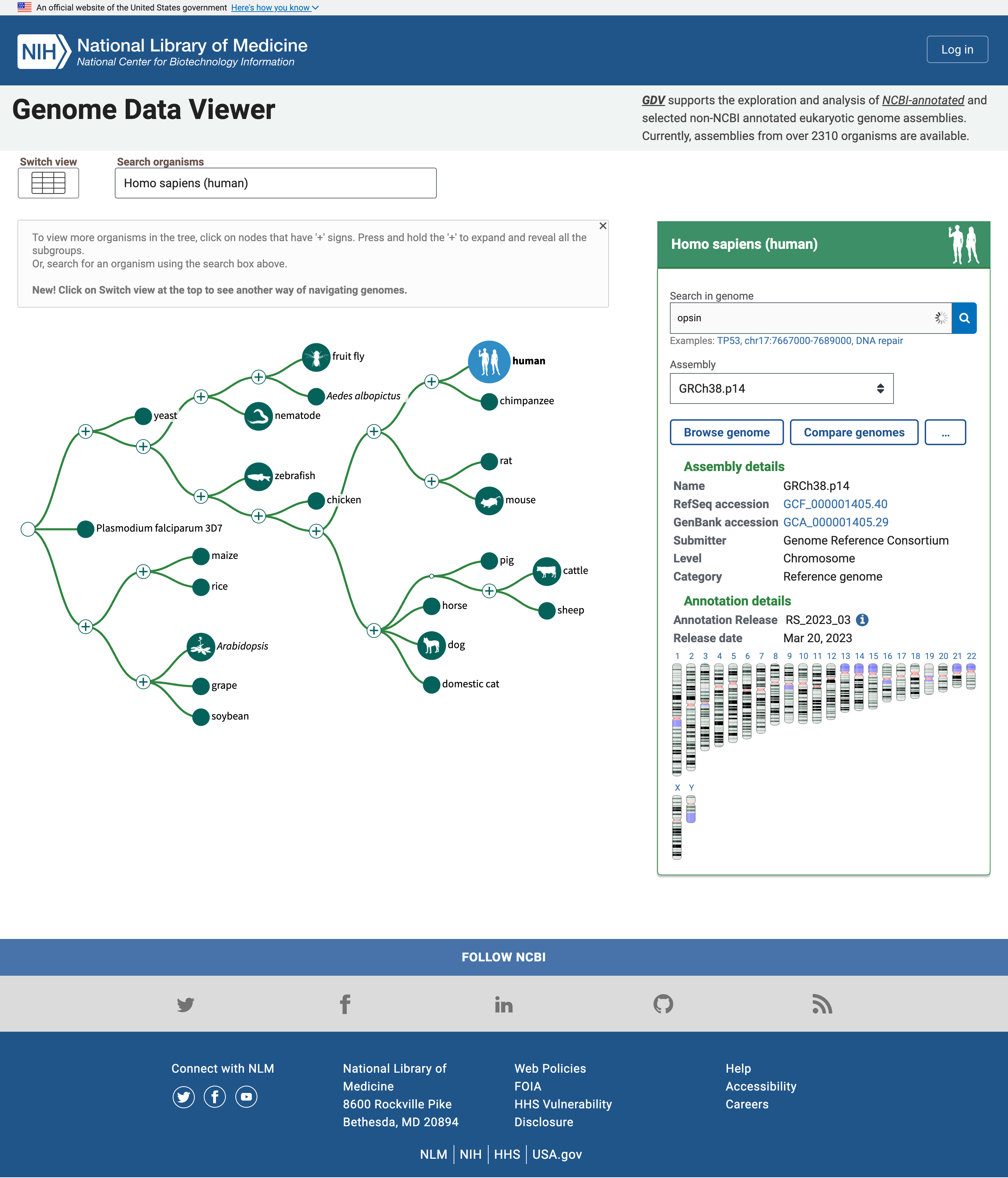 Genome Data Viewer home page screenshot, the word "opsin" is written in the search box and the result is previewed.