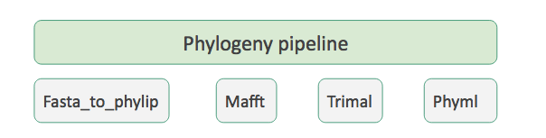 phylogeny pipeline containing 4 tools