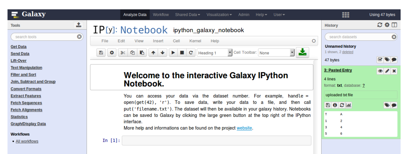 Ipython is shown in the center pane of galaxy