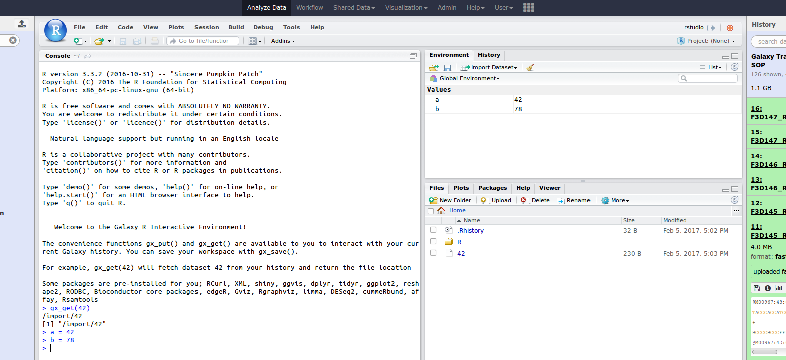 default rstudio in galaxy, multiple panes are visible for computing, values, and files.