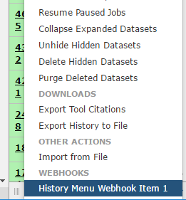 A section of the history menu is labelled Webhooks and shows a custom menu entry.