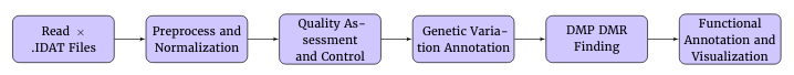 .IDAT files are eread, preprocessed and normalised, QC happens, then genetic variation annotation, then DMP DMR finding, and finall functional annotation and visualisation