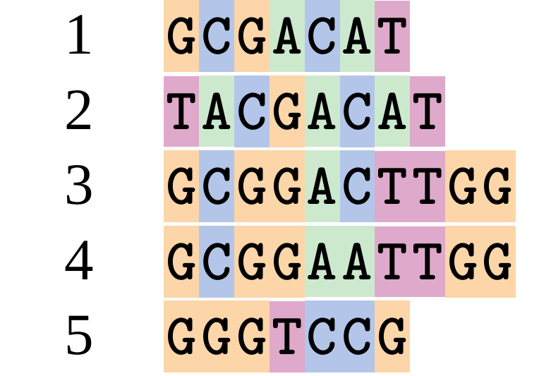 Five unaligned DNA sequences are arranged vertically. Nucleotides are colour coded G = orange, C = blue, A = green, T = pink