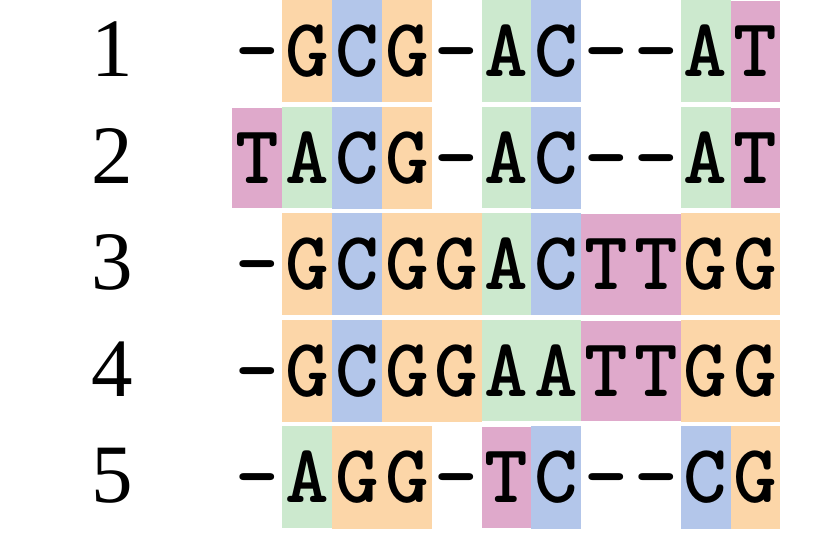 A possible alignment of five DNA sequences arranged vertically. Gaps have been introduced to align homologous sites. Nucleotides are colour coded G = orange, C = blue, A = green, T = pink