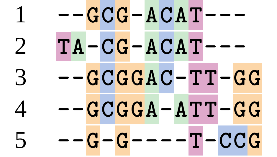 A possible alignment of five DNA sequences arranged vertically. Gaps have been introduced to align homologous sites. Nucleotides are colour coded G = orange, C = blue, A = green, T = pink