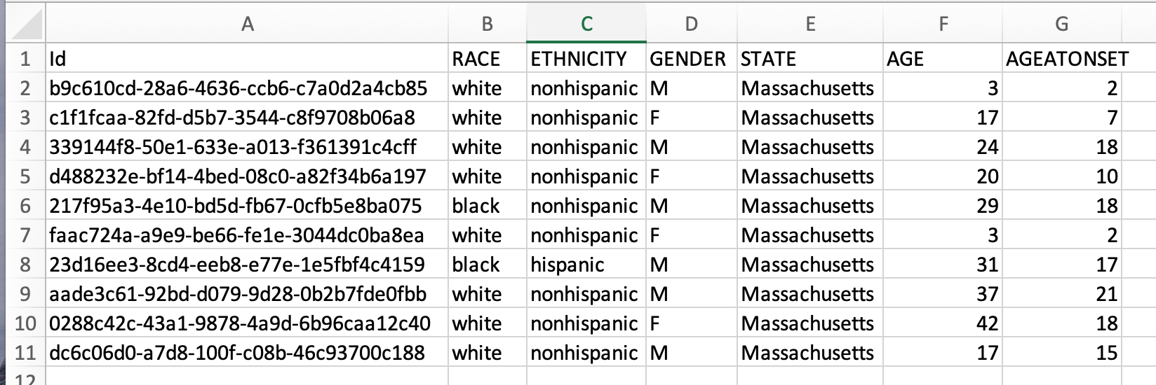 Image of spreadsheet with columns ID, Race, Ethnicity, Gender, State, Age and Age at Onset, with 10 lines of data filled in below for each of these columns. 