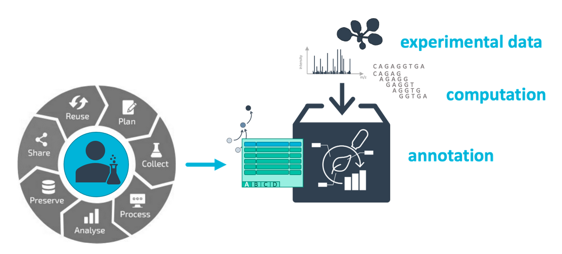 concept of an ARC, experimental data, computation and annotation bundled together