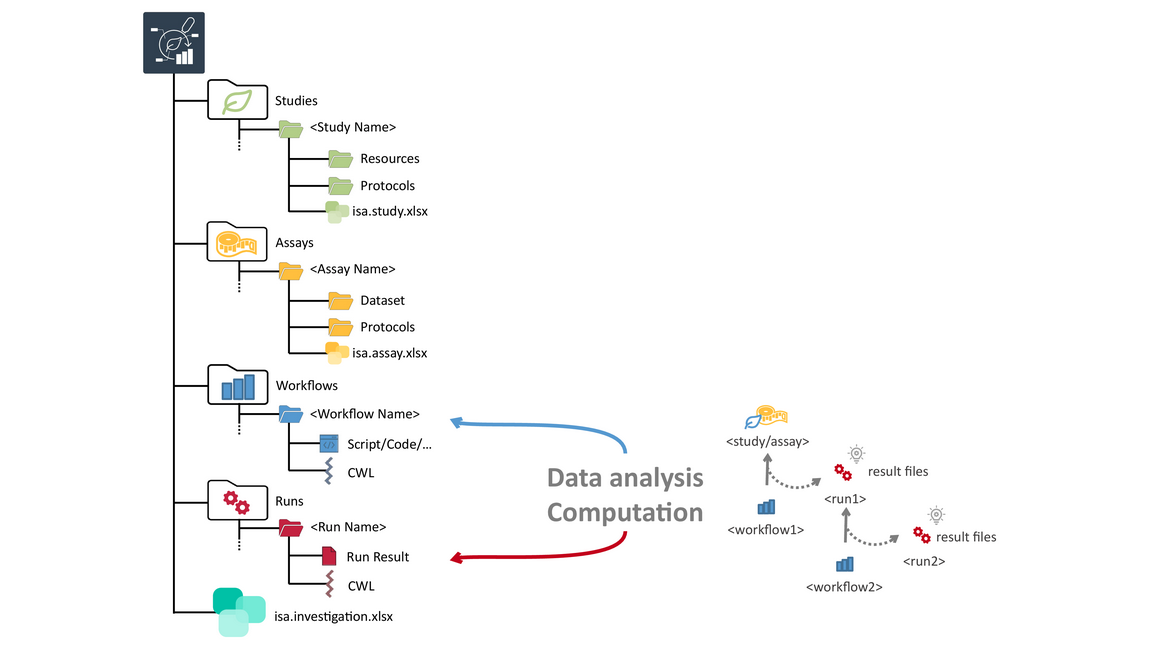 arc folder structure highlighting the workflows and runs folders for computational data