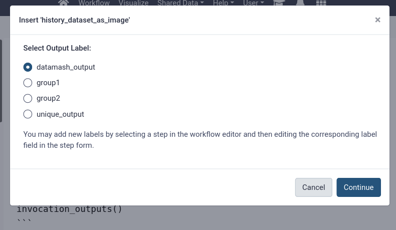 menu for inserting an image output into the report. 