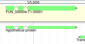 One gene is added to the User-created Annotation track. 