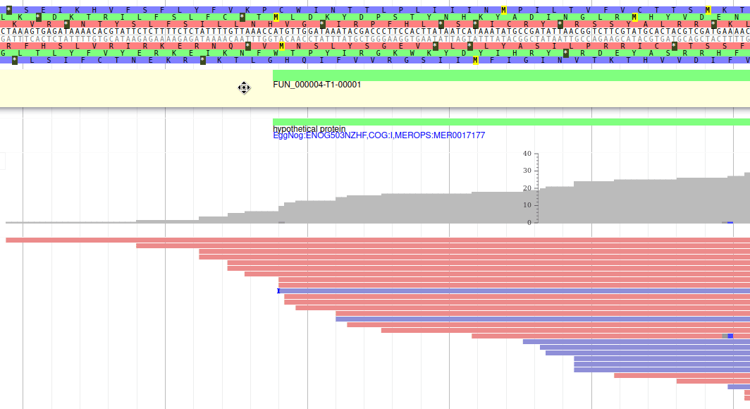 Gif showing modifying the 5' region of a gene by dragging it.
