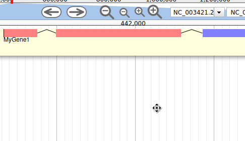 Animation showing how the limit of an exon can be changed within Apollo by a simple drag-and-drop