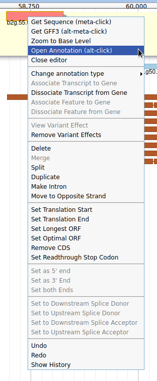 Gene contextual menu showing way too many options, the mouse hovers over Open Annotation (alt-click). 