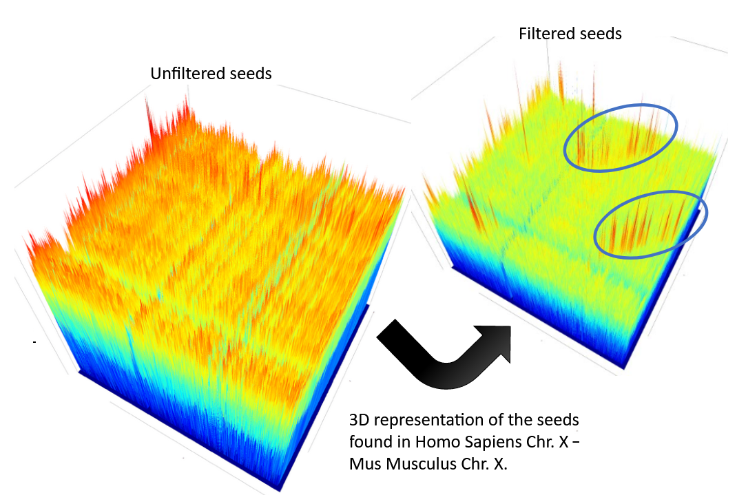 Two 3d plots are shown, the first resembles the previous dot plot with high noise, and lots of tiny peaks. An arrow points to the second set of "filtered seeds" with several diagonal sets of peaks highlighted.