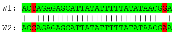 Two sequences 1 and 2 are shown. Each has a single nucleotide change at the start and end.