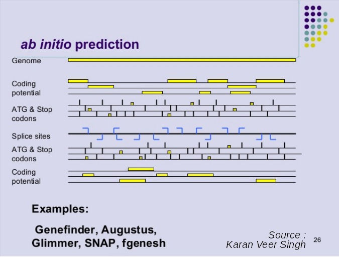 Ab initio 2025 method gene prediction