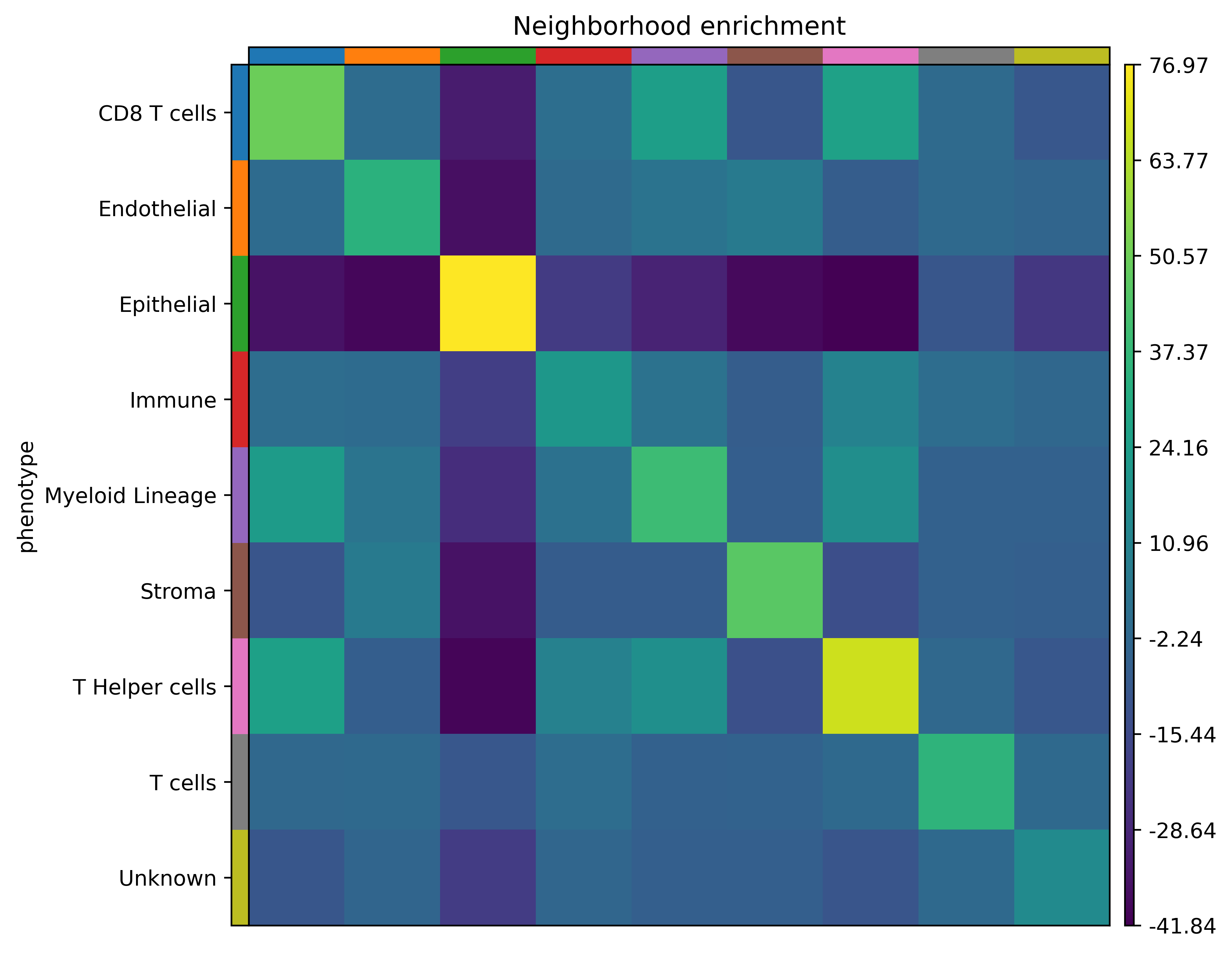 Heatmap showing phenotype vs neighbourhood enrichment. Most of the heatmap is blue/green (low) but one cell under epithelial is bright yellow (high). 