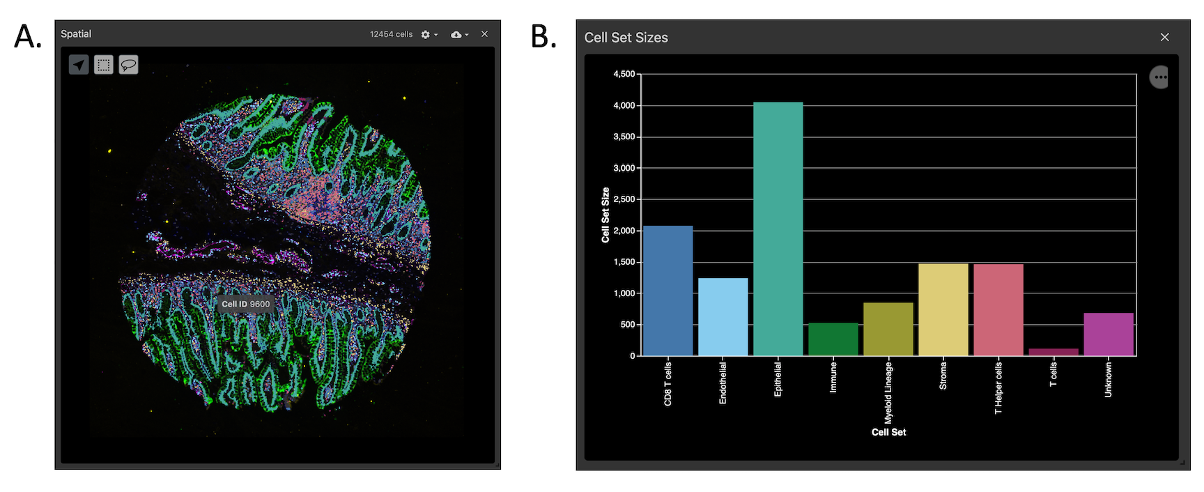 screenshot of vitessce interface, on the left in A is a picture of a cell highlighted. On the right in B is a bar chart comparing cell size vs lineages.