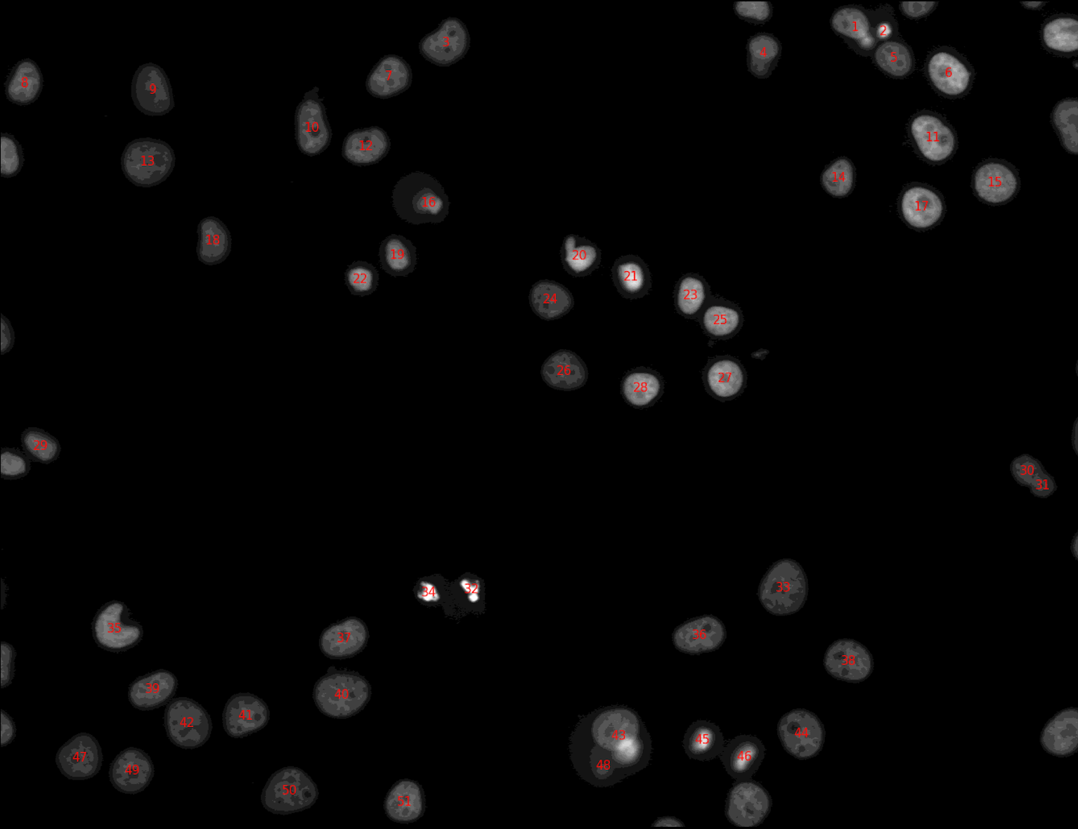 a photo of cells in black and white, several cells have red numbers written atop them.