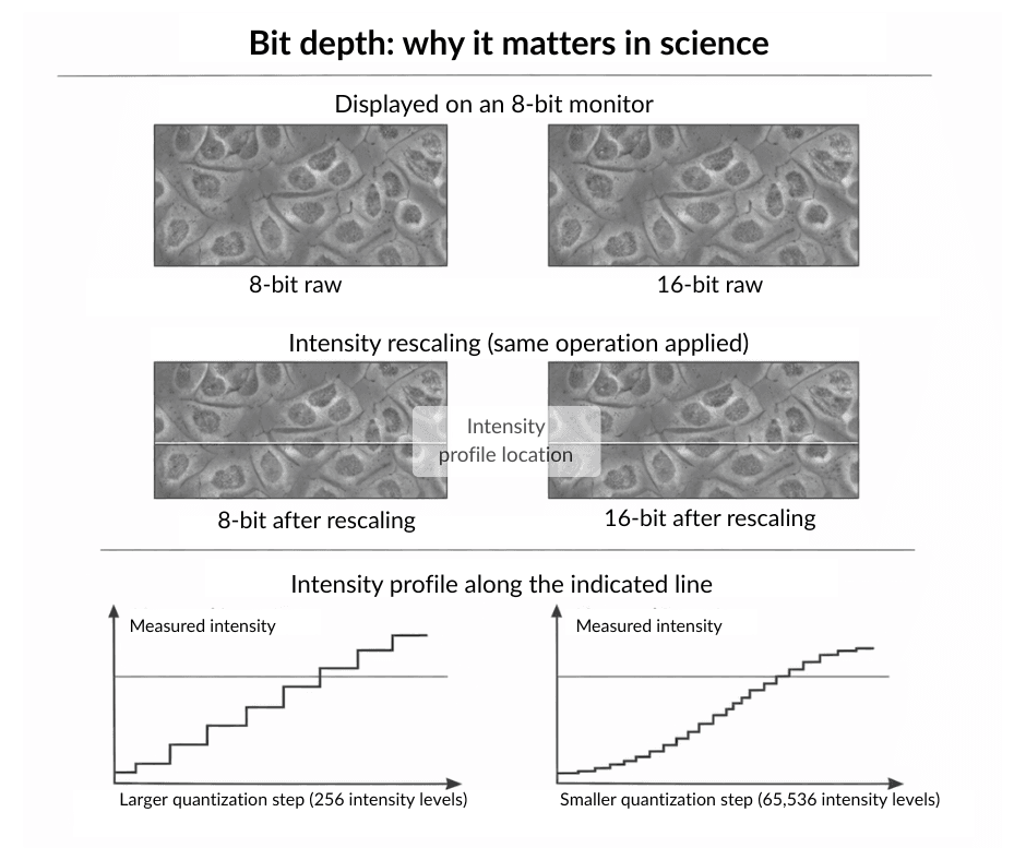 Bit depth: why it matters in science. 