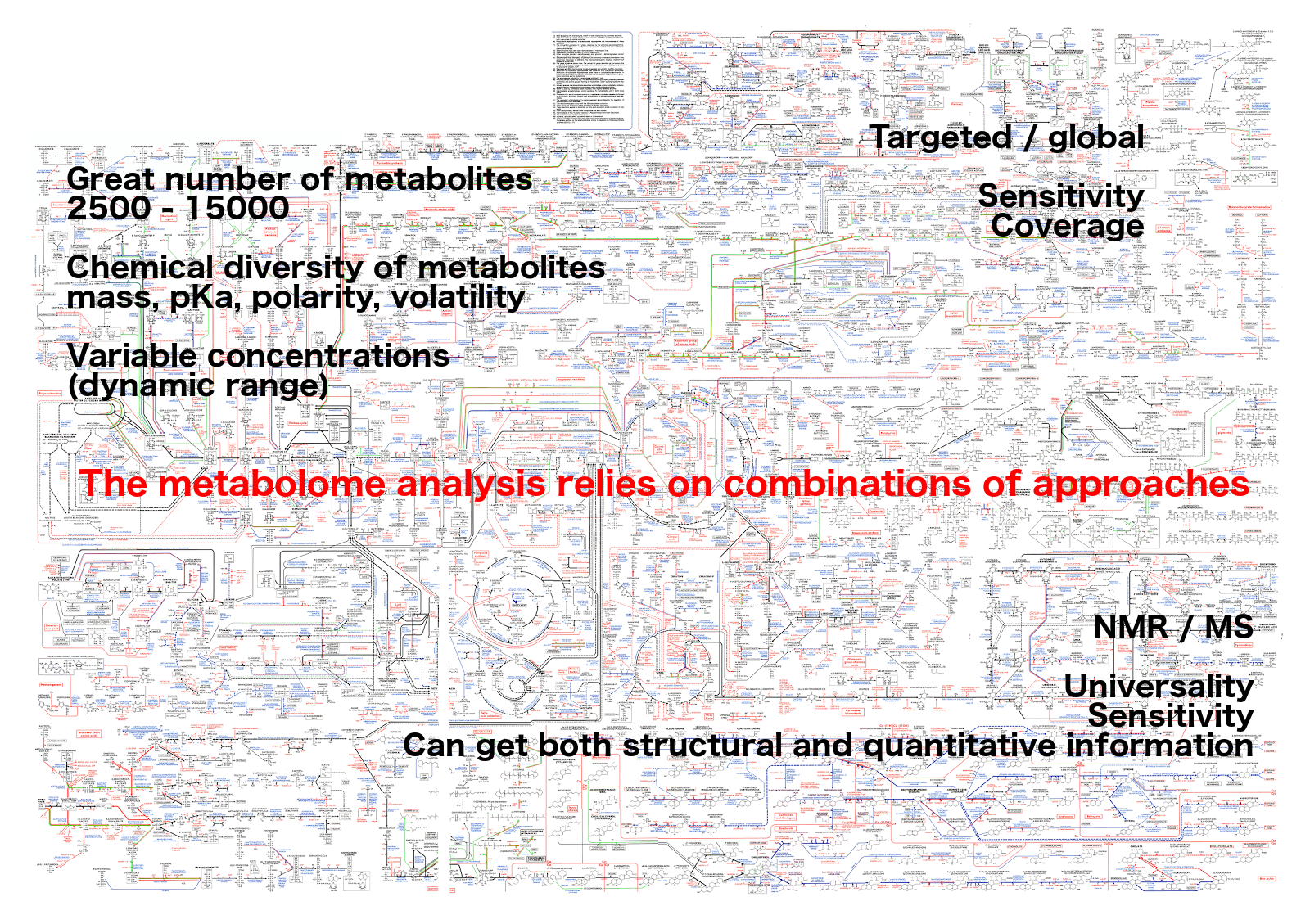 Large pathway map with text over it reading: targeted/global, sensitity coverage. Great number of metabolites, 2.5k to 15k. Chemical diversity of metabolites, mass, pKa, polarity, volatiity. Variable concentrations. NMR vs MS. Universality, Sensitivity, Can get both structural and quantitative information. And in red in the center: The metabolome analysis relies on combinations of approaches.
