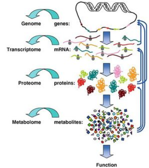 Slides Introduction To Metabolomics Introduction To Metabolomics