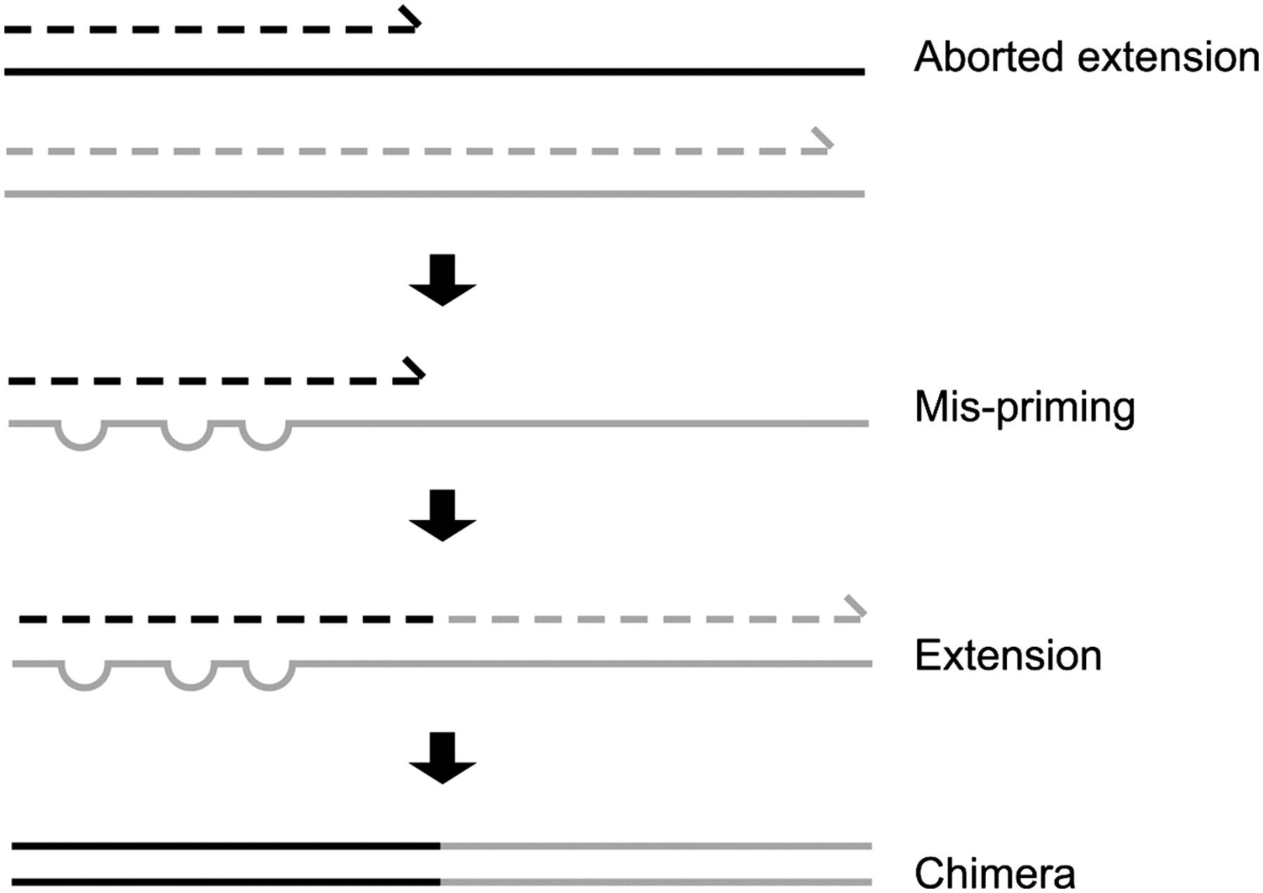 aborted extension leads to mispriming, which gets extended with the wrong sequence, and results in a chimera