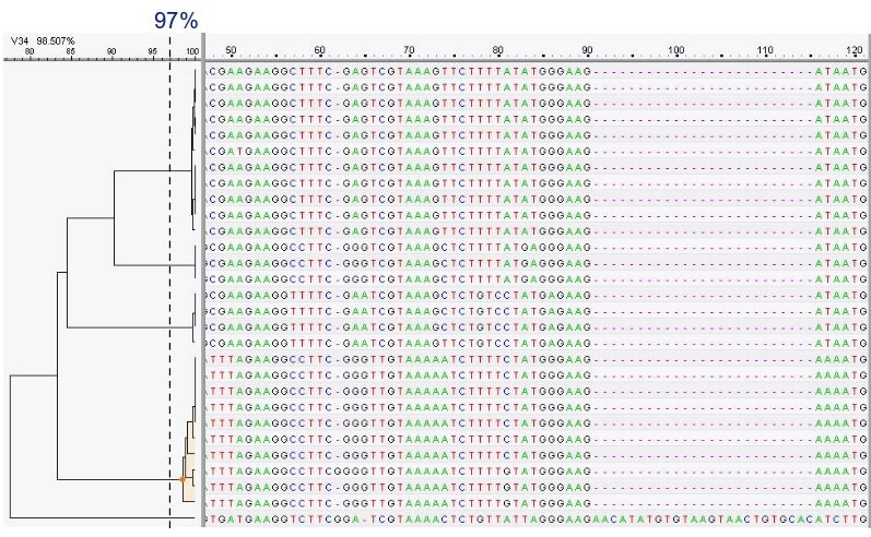 DNA sequences with hierarchical clustering shown