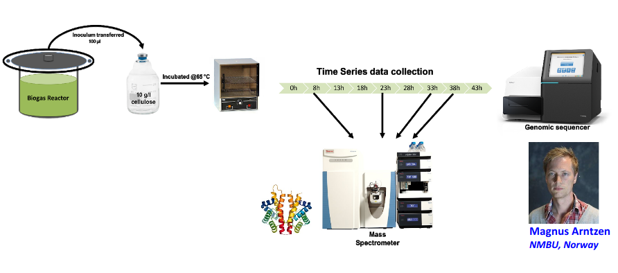 Workflow graph showing biogas reactor extract being transferred to cellulose and incubated. Time series samples are taken and run through a mass spectrometer and genomic sequencer.