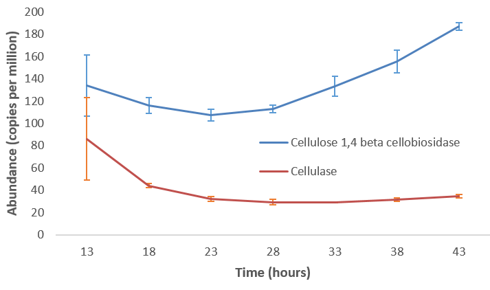 line chart shown cellulase abundance decreasing from 80 copies per million to 40 as time goes from 13 to 43. Cellulose 1,4 beta cellobiosidase starts at 140 cpm and dps at hour 23 to 120 before increasing to 200 by the end of the graph