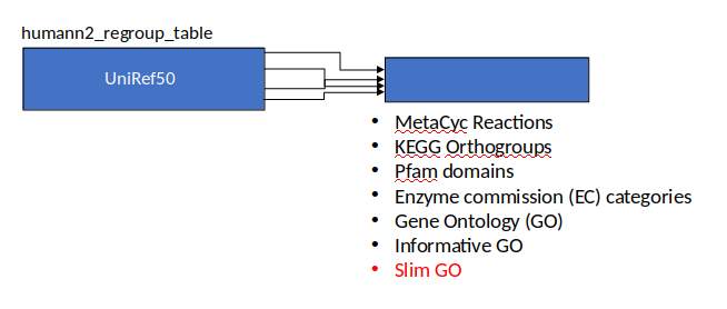 Humann2 regroup table is the left node in a flow chart with UniRef50. Multiple lines are drawn to an unlabelled right node that lists metacyc, kegg, pfam, EC, GO, informative GO, slim GO.