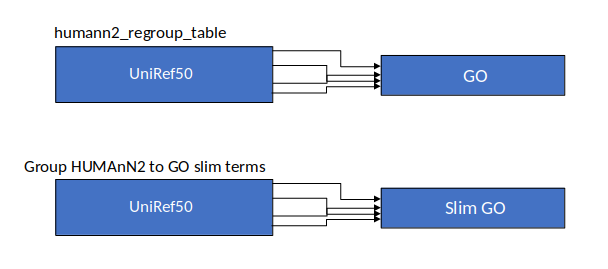 humann2 regroup table, lines from uniref50 to GO. group humann2 to GO slim terms shows a similar graphic, lines from uniref50 to slim GO.