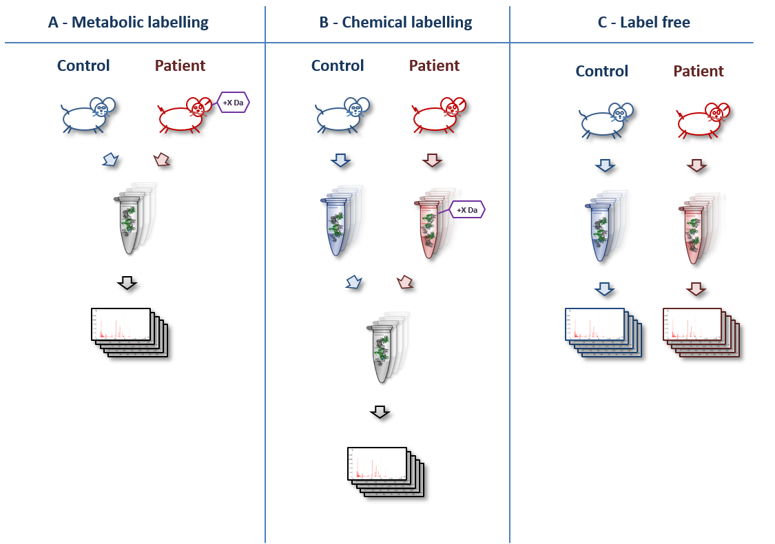 Hands-on: Label-free versus Labelled - How to Choose Your