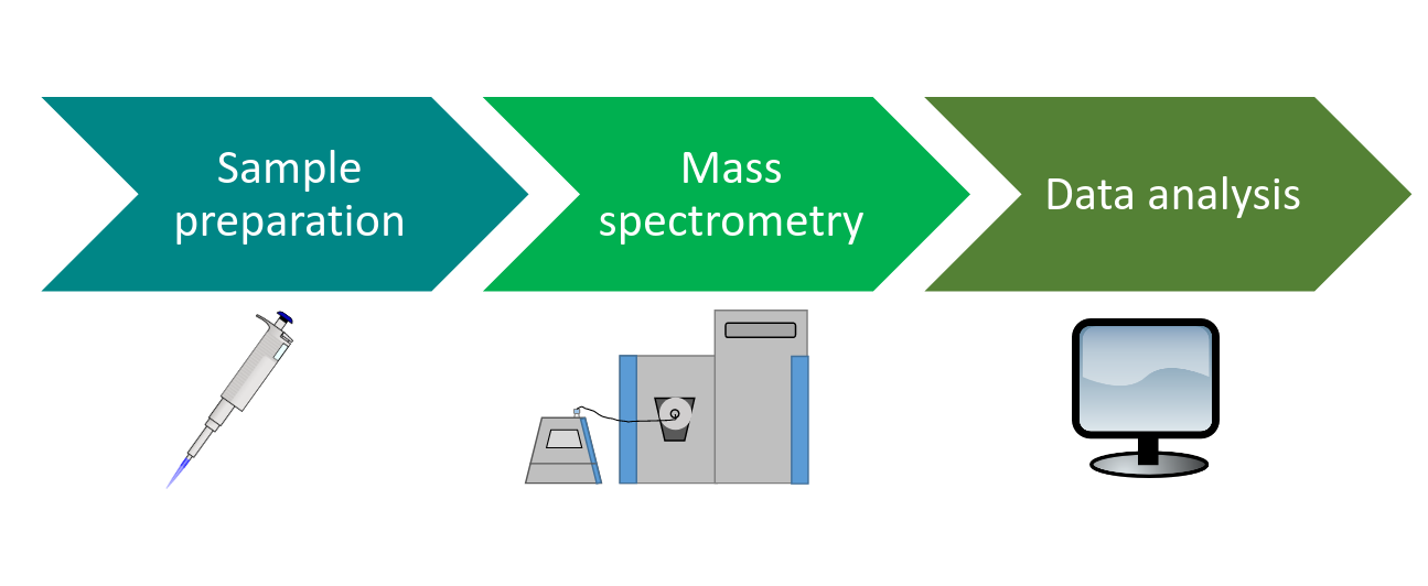 Flow chart from sample prep to mass spec to data analysis.