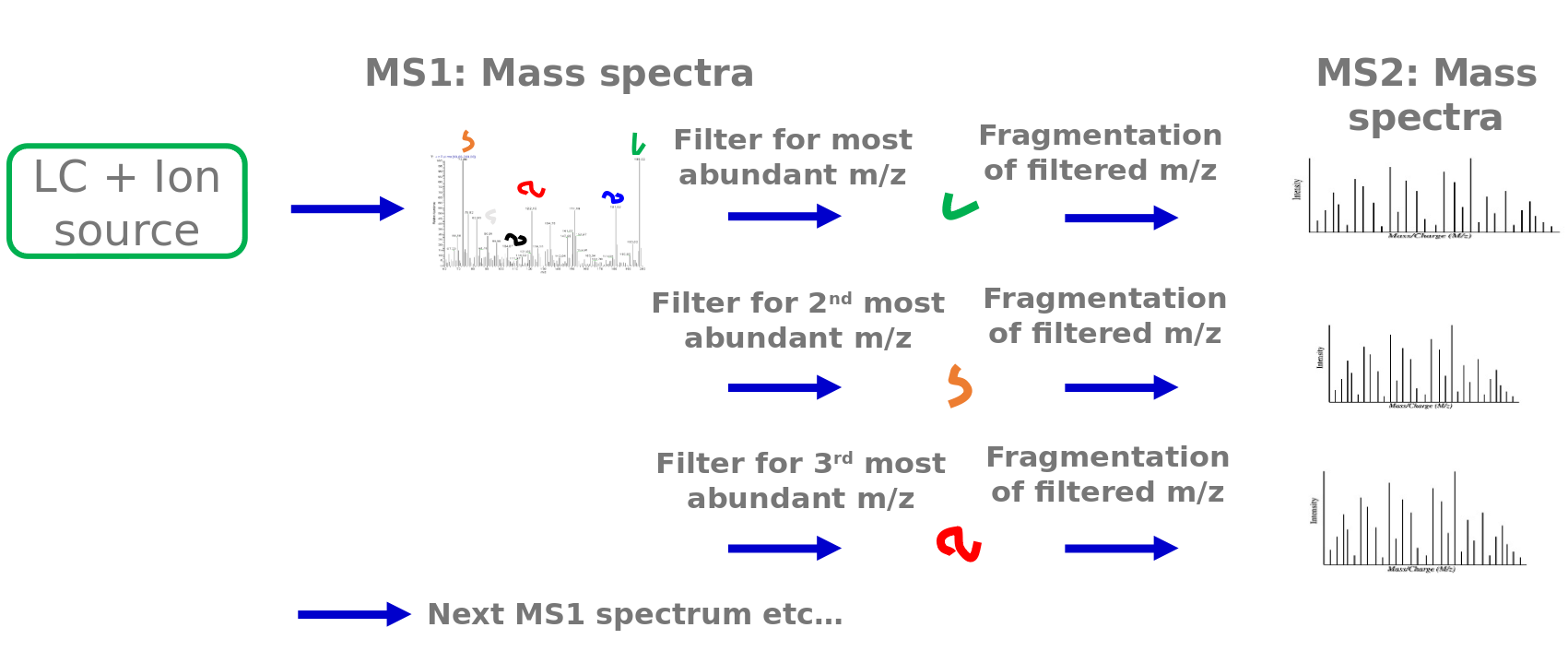 an LC+Ion source goes into ms1: mass spectra which are filtered for most abundant m/z, then fragmentation of filtered m/z produces an MS2: Mass spectra. This process is repeated for the 2nd and 3rd most abundant m/z and so on.
