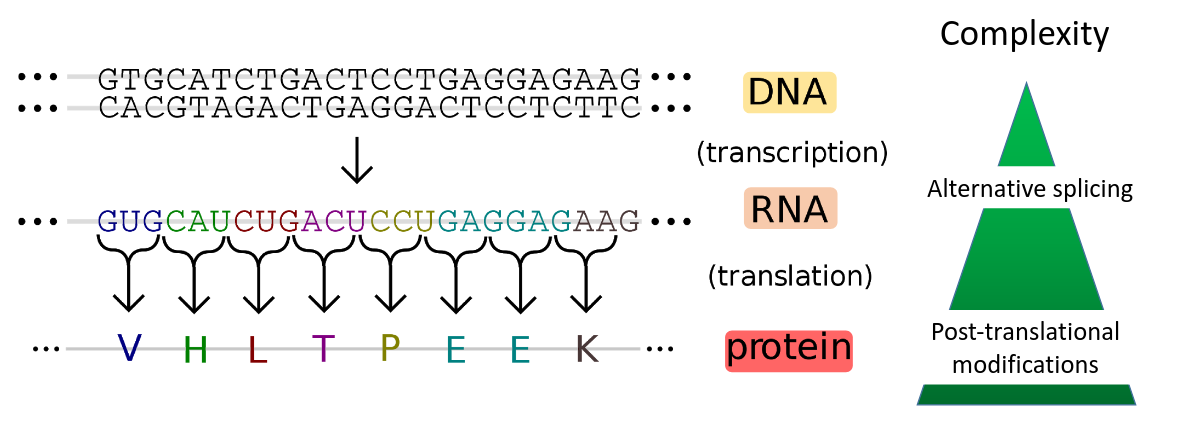 Proteomic Data Commons