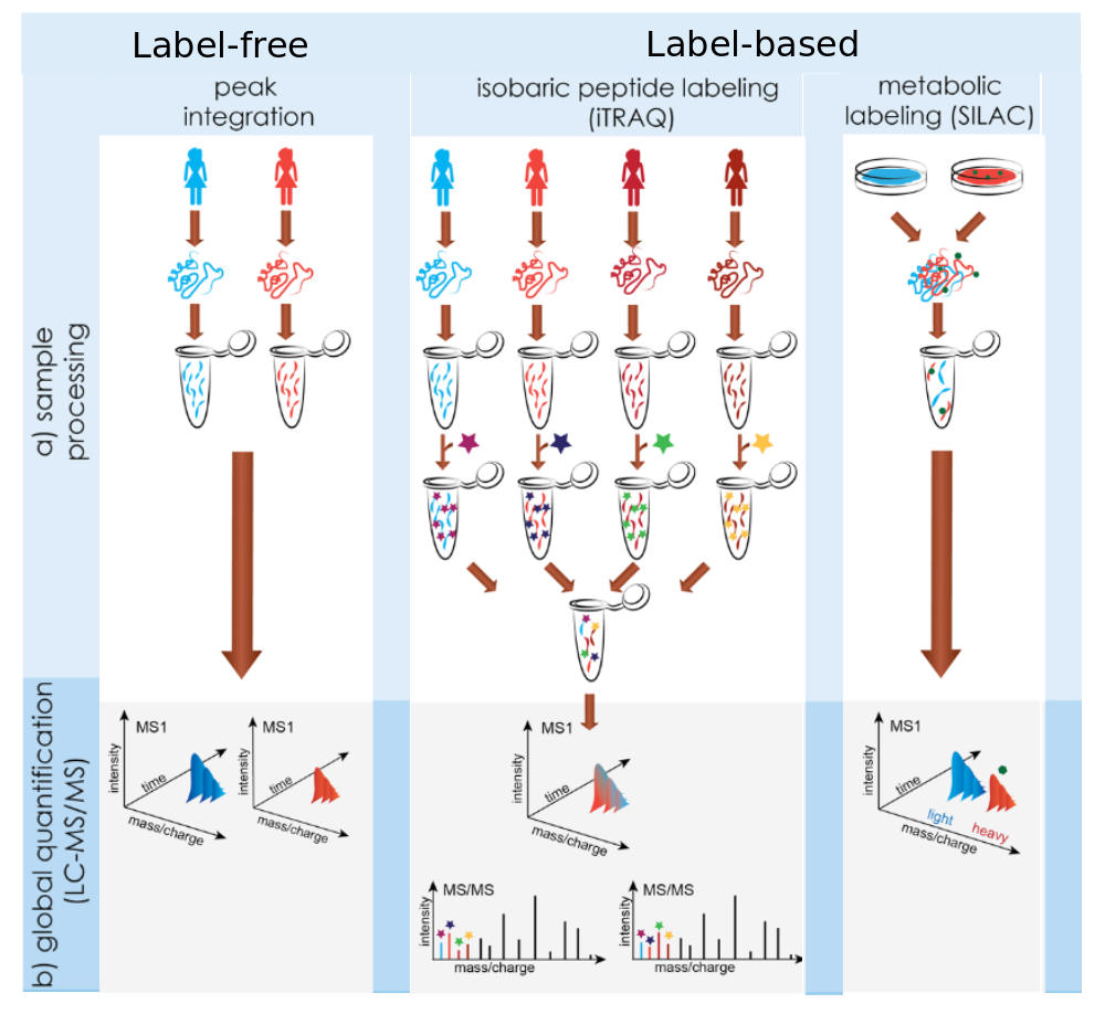 Introduction To Proteomics Protein Identification Quantification And Statistical Modelling