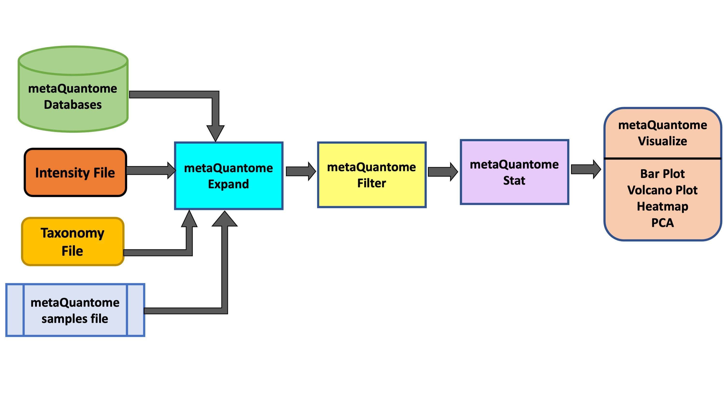 MetaQuantome-taxonomy-workflow. 