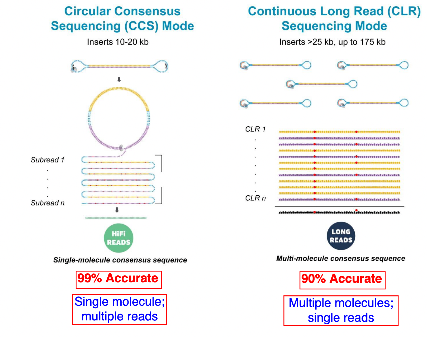 Comparison between PacBio HiFi and CLR sequencing methods