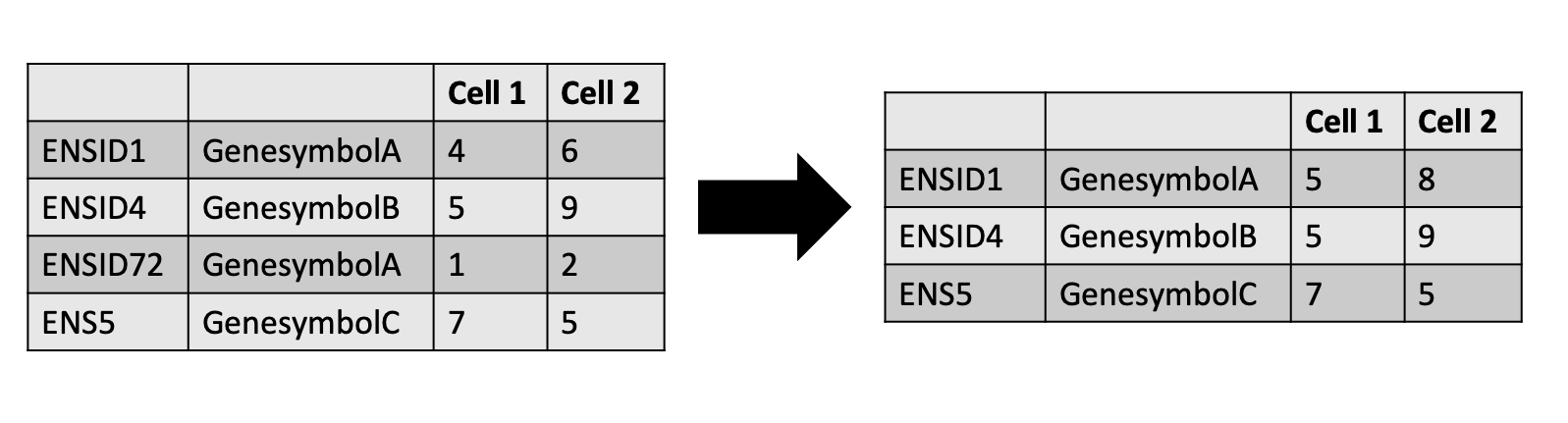 First table shows 4 rows with different ENS IDs and a second column with geney symbols and some overlap. Arrow pointing to second table shows 3 rows having collapsed the overlap.