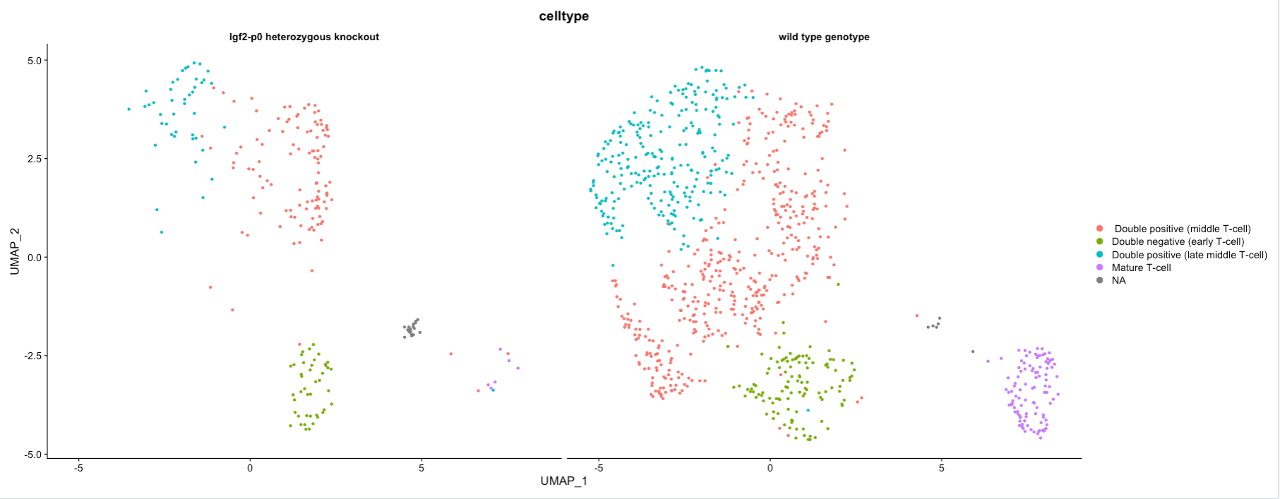 DimPlot colored by labelled celltype split by genotype. 