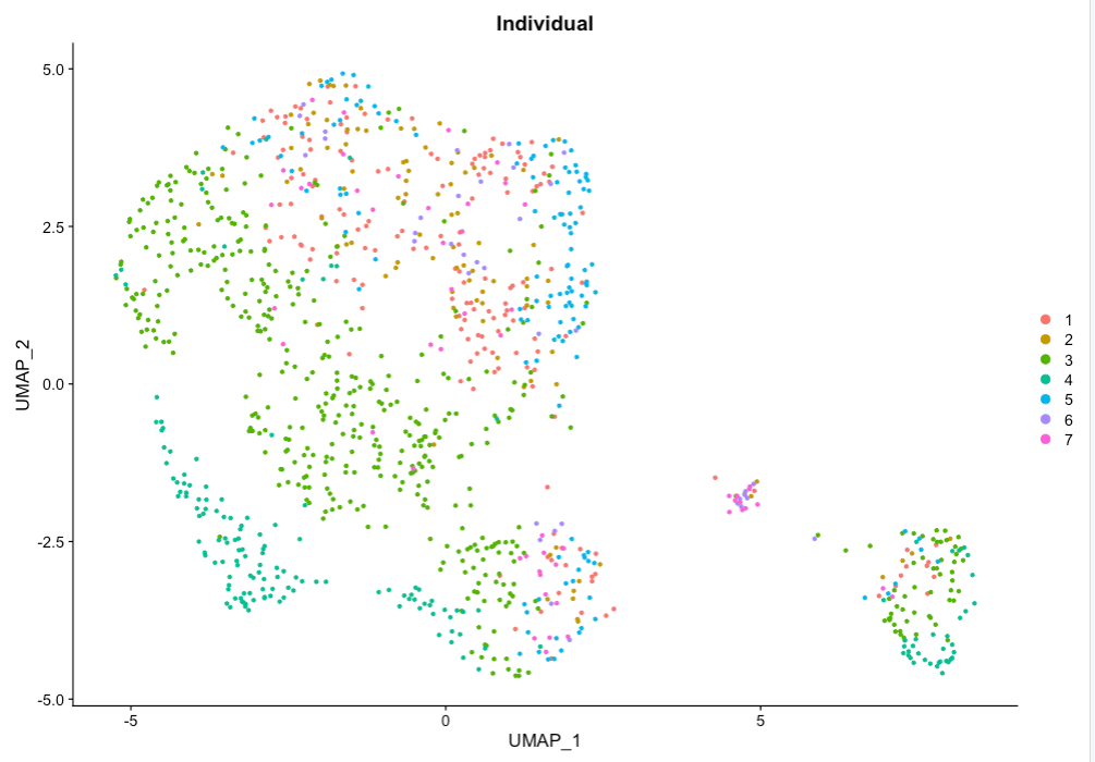 DimPlot colored by labelled celltype split by individual/batch. 