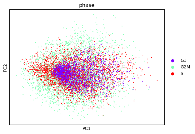 PCA plot showing one big cluster with the cells from G1, S and G2M Phases all mixed up together. 