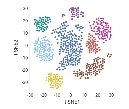 A graph with axis labels ‘t-SNE’, showing the cells being clustered into several groups – each group marked in a  different colour.