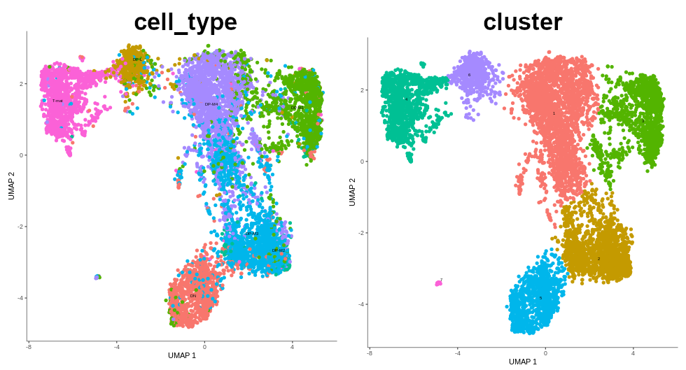 When projected onto a graph, clusters quite accurately corresponding to the cell type.